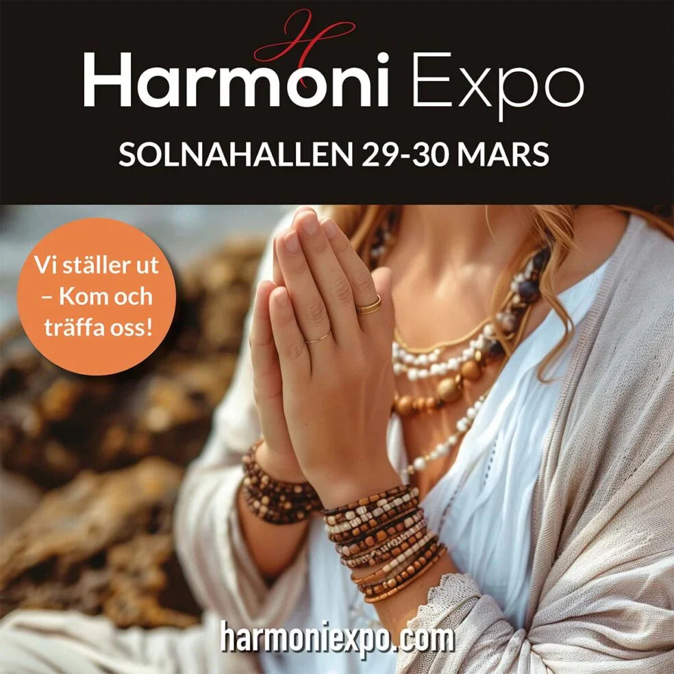 Kom förbi och träffa oss på Harmoni Expo!