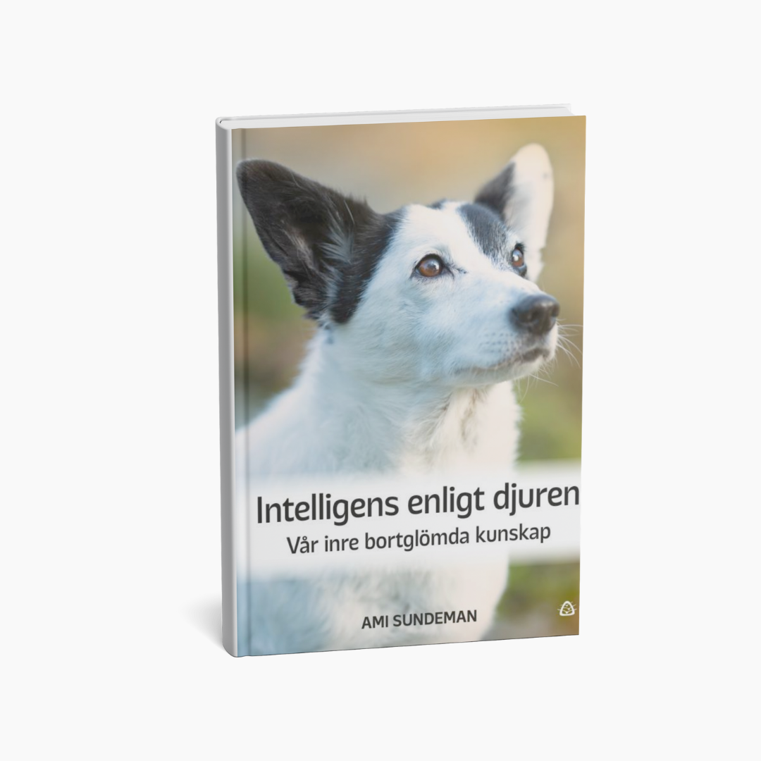 Intelligens enligt djuren