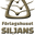 Siljans Måsar logo